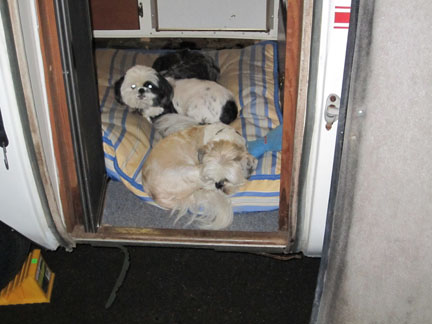 The boys in the Scamp